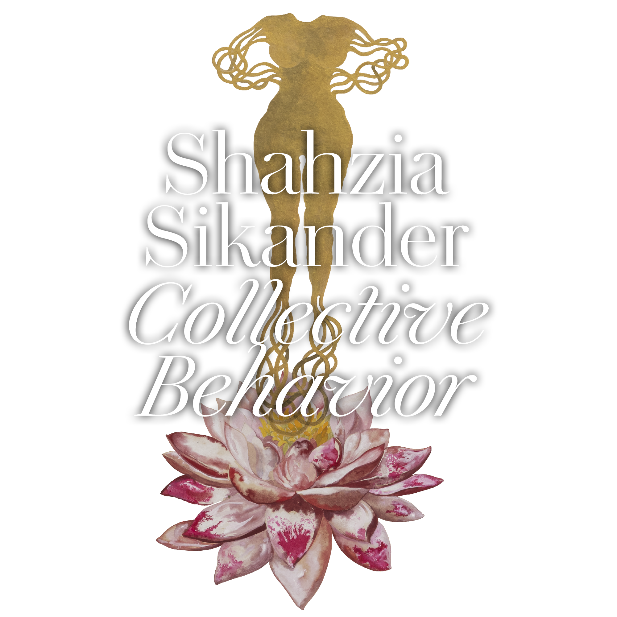 Shahzia Collective Behavior