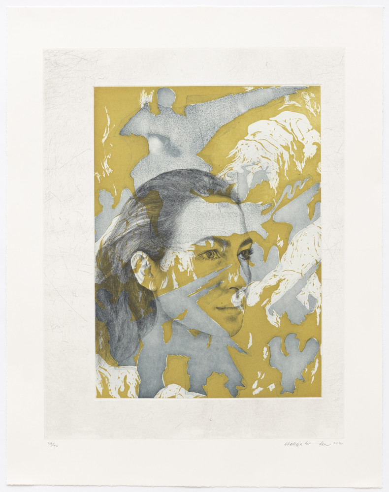 A portrait of the artist Shahzia Sikander against an abstracted, fragmented background of yellow and gray figures and forms.